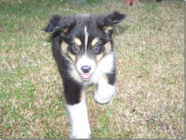 2010-09-26 tabernacles (70)