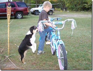 2010-11-05 bikes (22)