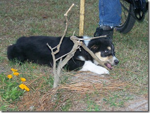 2010-11-05 bikes (28)