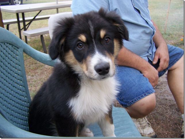 2010-11-05 kelev (10)