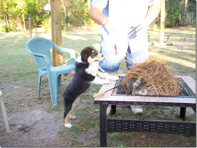 2010-11-05 kelev (15)