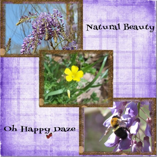 Day-on-the-Farm-000-Page-1