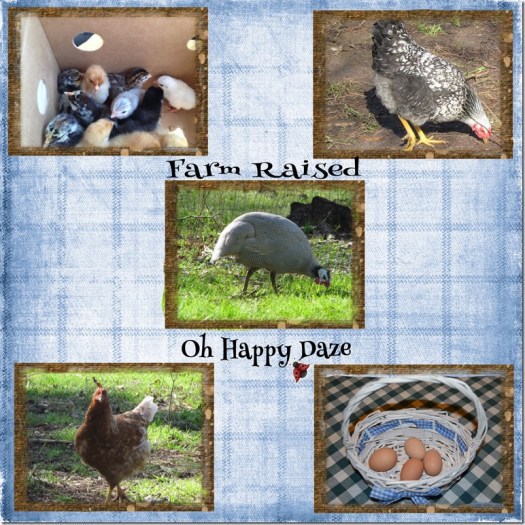 Day-on-the-Farm-001-Page-2