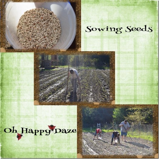 Day-on-the-Farm-002-Page-3