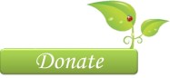 Donate Button