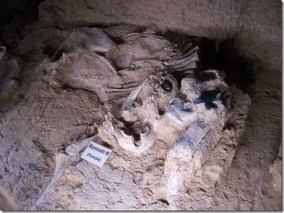 2010-07-04 dino dig (3)