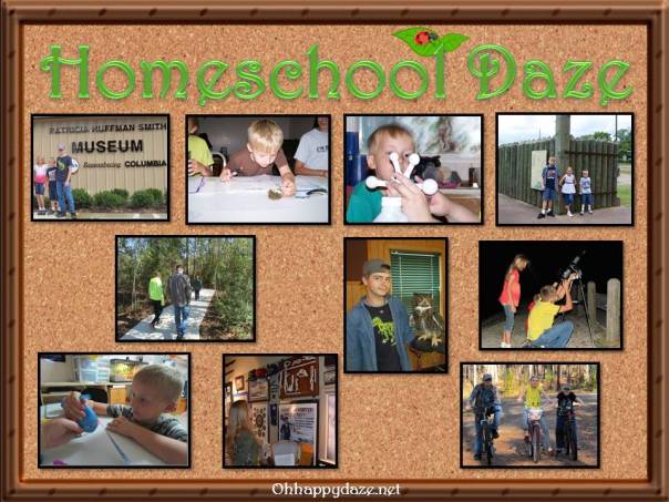 Homeschooling