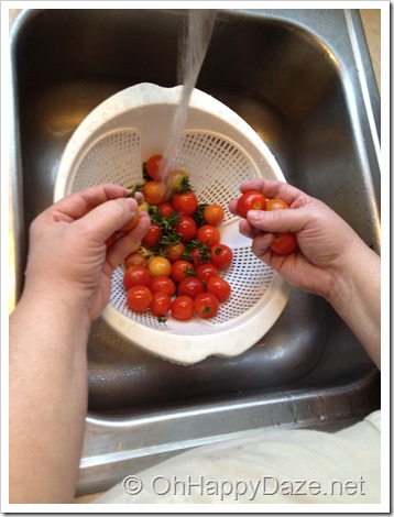 Rinsing Tomatoes 