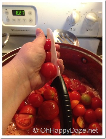 Cutting Tomatoes 