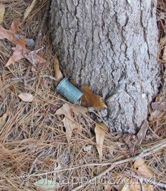 Geocaching Film Container