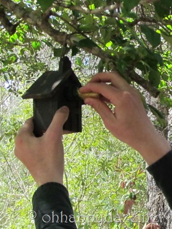 Geocaching The Birdhouse