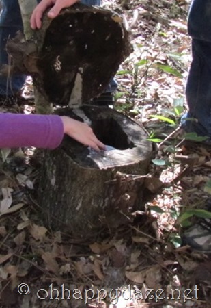 Geocaching The Stump