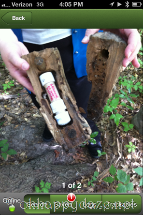 Geocaching The Rotten Limb