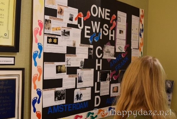 DSC_0033 (800x533) DSC_0033 (800x533)