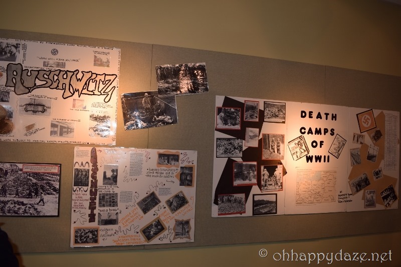 DSC_0035 (800x533) DSC_0035 (800x533)