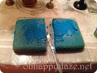 IMG_6666 Crossing the Red Sea Cake 2