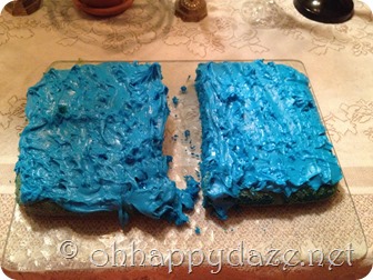 IMG_6668 Crossing the Red Sea Cake 3