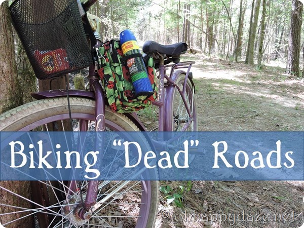 Biking Dead Roads