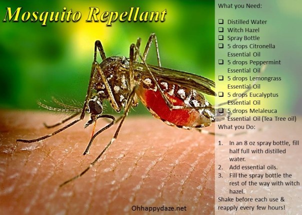 Essential Oil Mosquito Repellent 