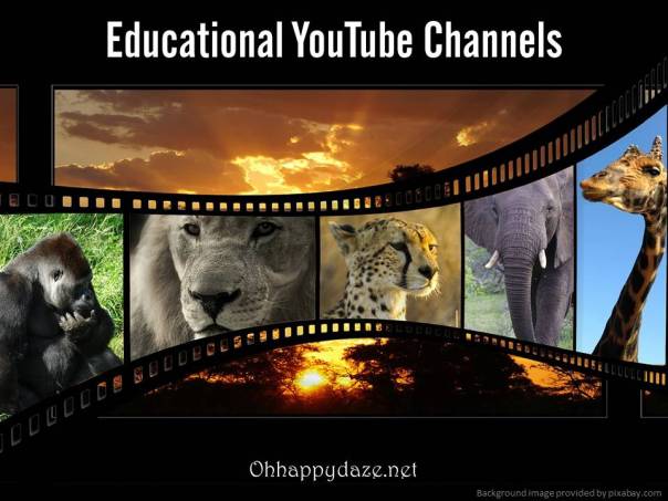edu youtube