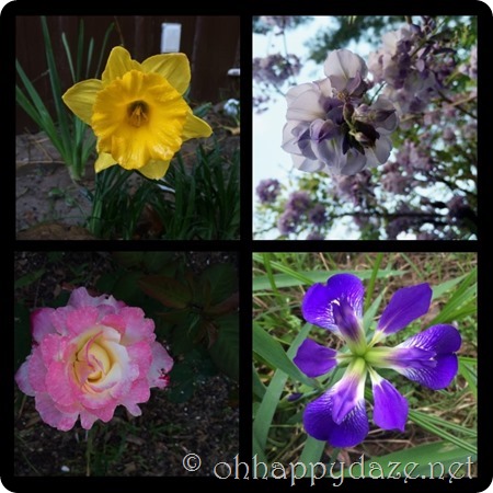 PhototasticCollage-2016-04-02-16-54-06 PhototasticCollage-2016-04-02-16-54-06