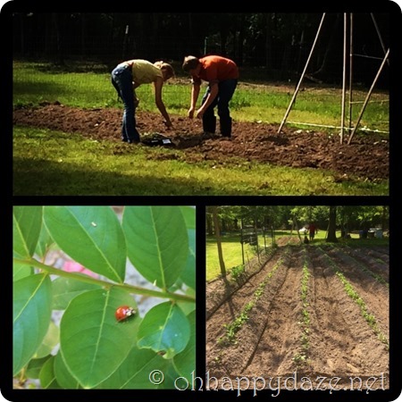 PhototasticCollage-2016-04-30-13-33-53