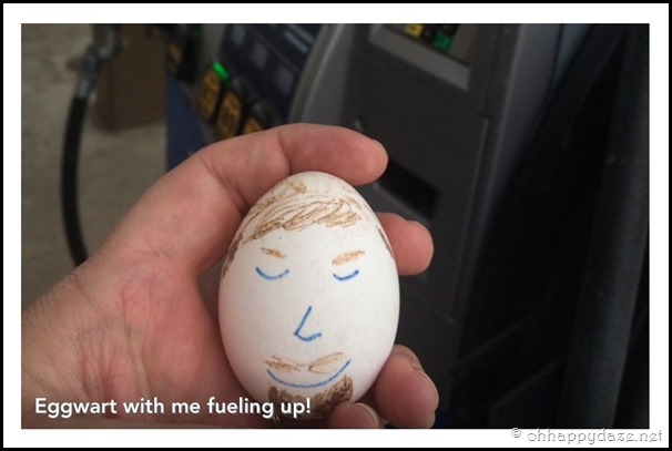 Eggcellent Love (12)