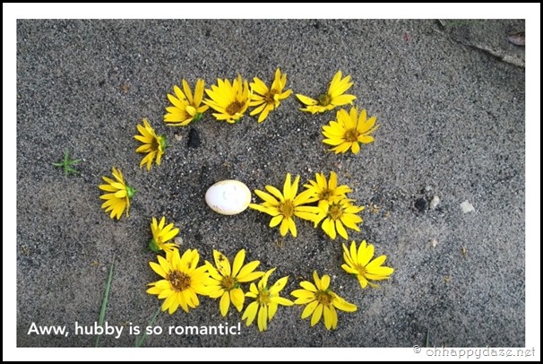 Eggcellent Love (14)