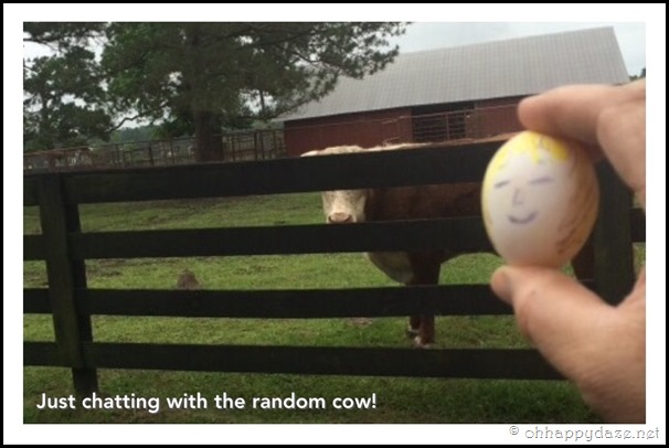 Eggcellent Love (22)