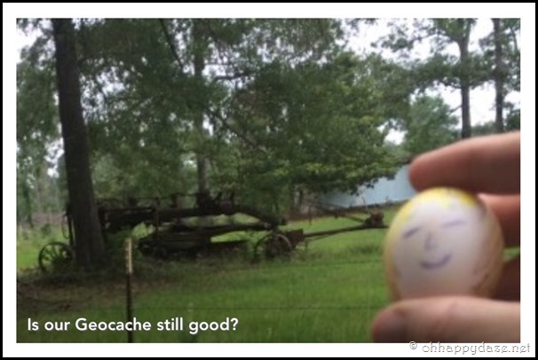 Eggcellent Love (24)