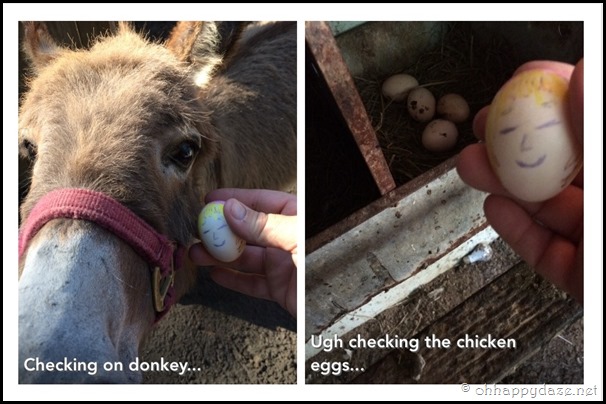 Eggcellent Love (37)