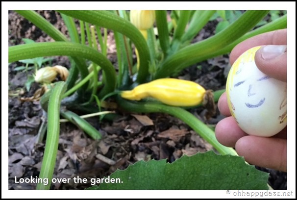 Eggcellent Love (38)