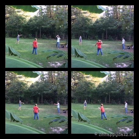 PhototasticCollage-2016-10-23-22-29-35