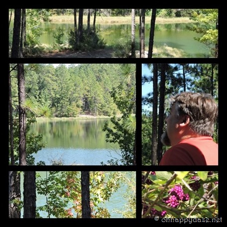 PhototasticCollage-2016-11-02-15-46-07