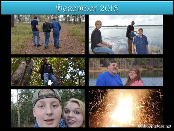 Life Journal Posts 12-2016