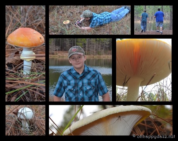 PhototasticCollage-2016-12-26-19-22-44