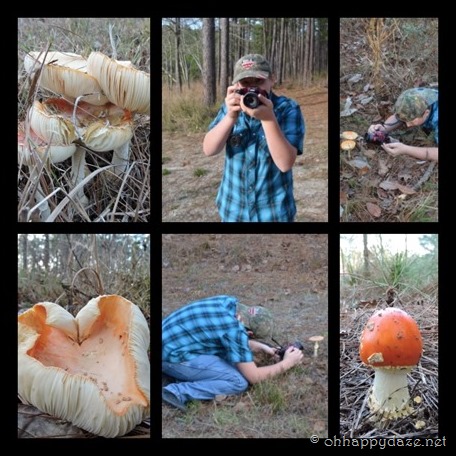 PhototasticCollage-2016-12-29-18-18-14