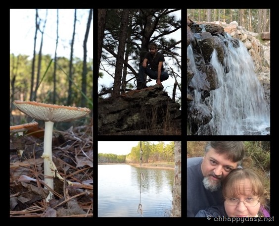 PhototasticCollage-2017-01-03-14-15-35