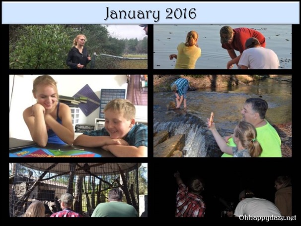 Life Journal Posts