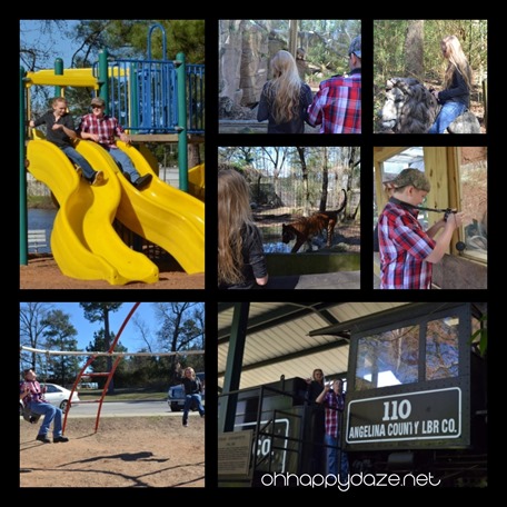 PhototasticCollage-2017-01-23-15-42-05