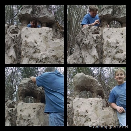 PhototasticCollage-2017-04-04-11-59-20