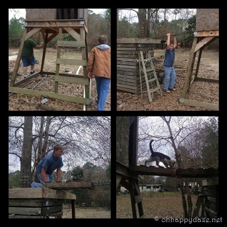 PhototasticCollage-2017-04-04-12-00-36