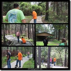 New Phototastic Collage