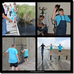 PhototasticCollage-2017-05-21-23-52-43