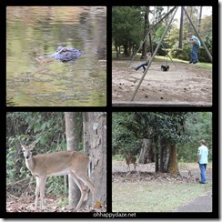 2017-10-11 mdjsp (23)