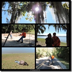 New Phototastic Collage