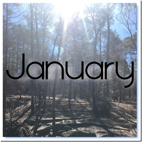 New Phototastic Collage1