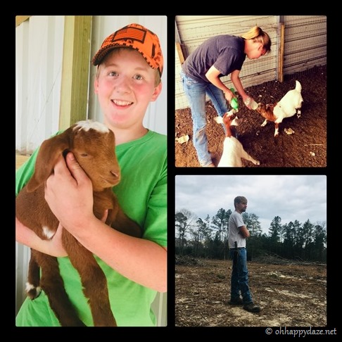 New Phototastic Collage