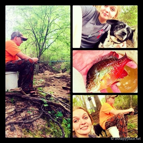 New Phototastic Collage