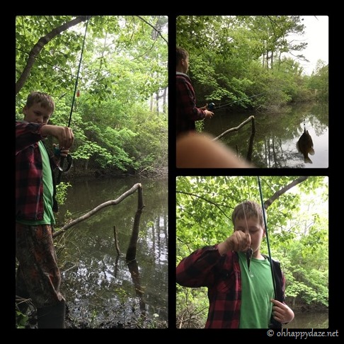 New Phototastic Collage2